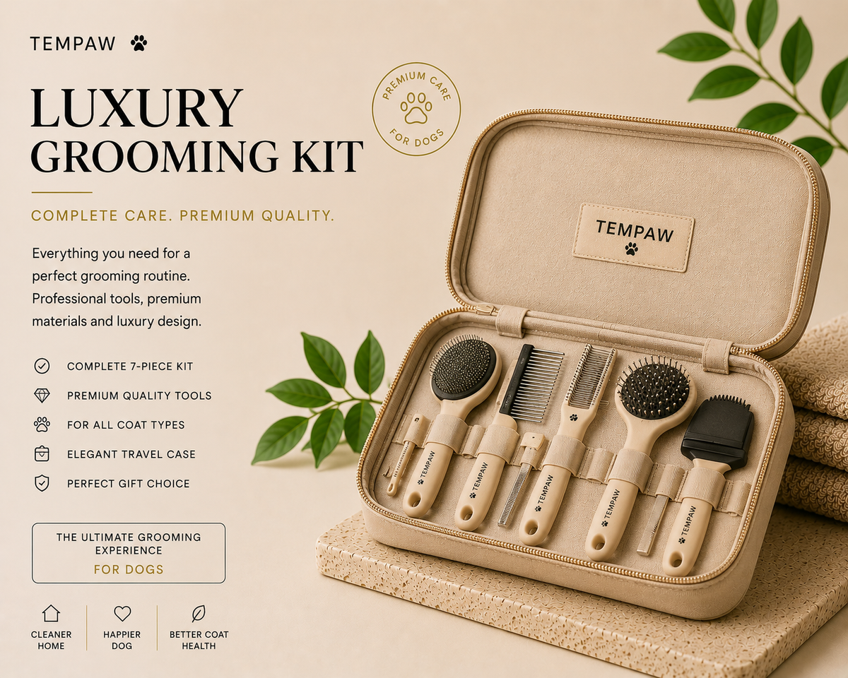 Tempaw luxury grooming kit