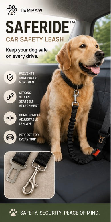Car Safety Leash