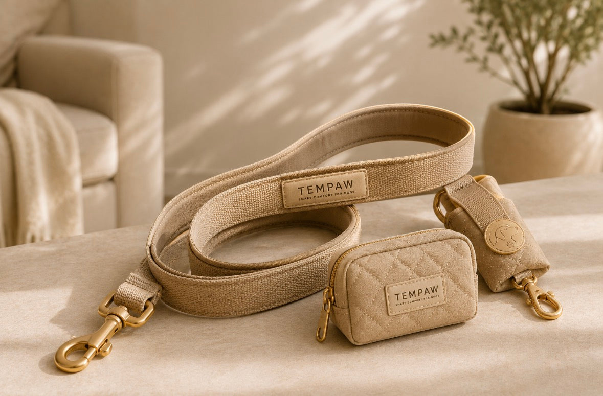 SoftWalk™ Premium Leash Set