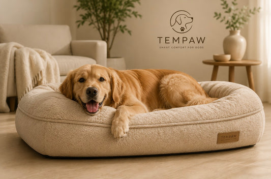 CloudNest™ Orthopedic Dog Bed
