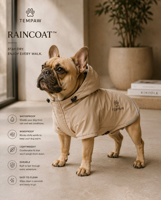 Raincoat