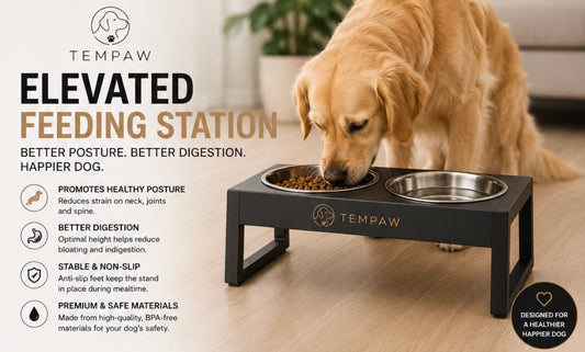 Elevated Feeding Station