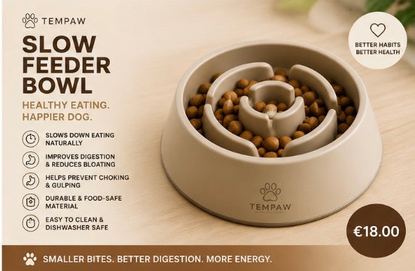Slow Feeder Bowl